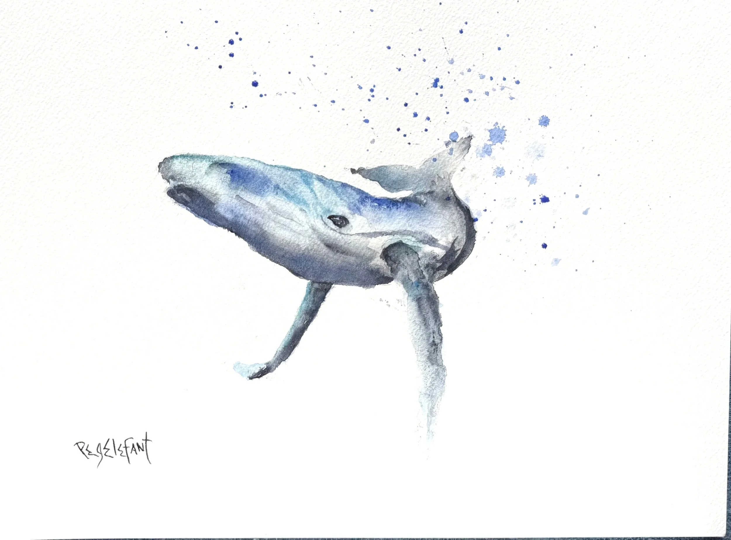 Love the Whale