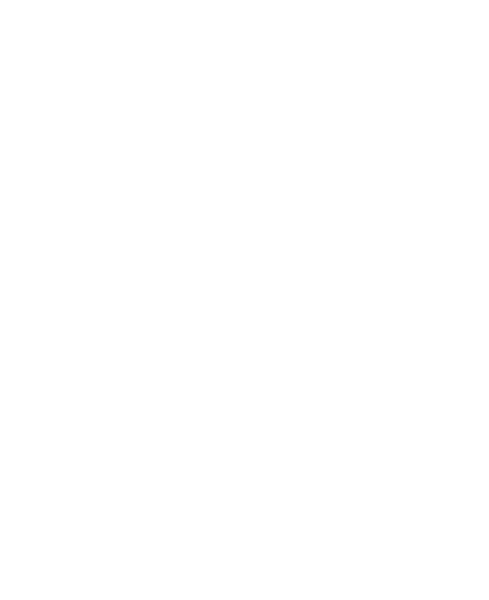 Jeff Stone Books logo a Chinese dragon reading a book