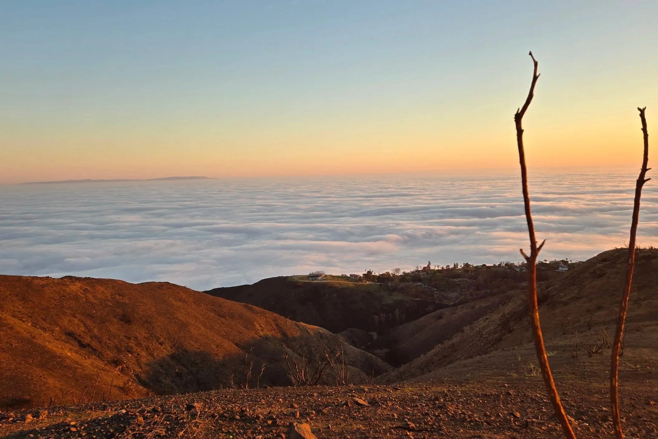 February 1,  scorched earth