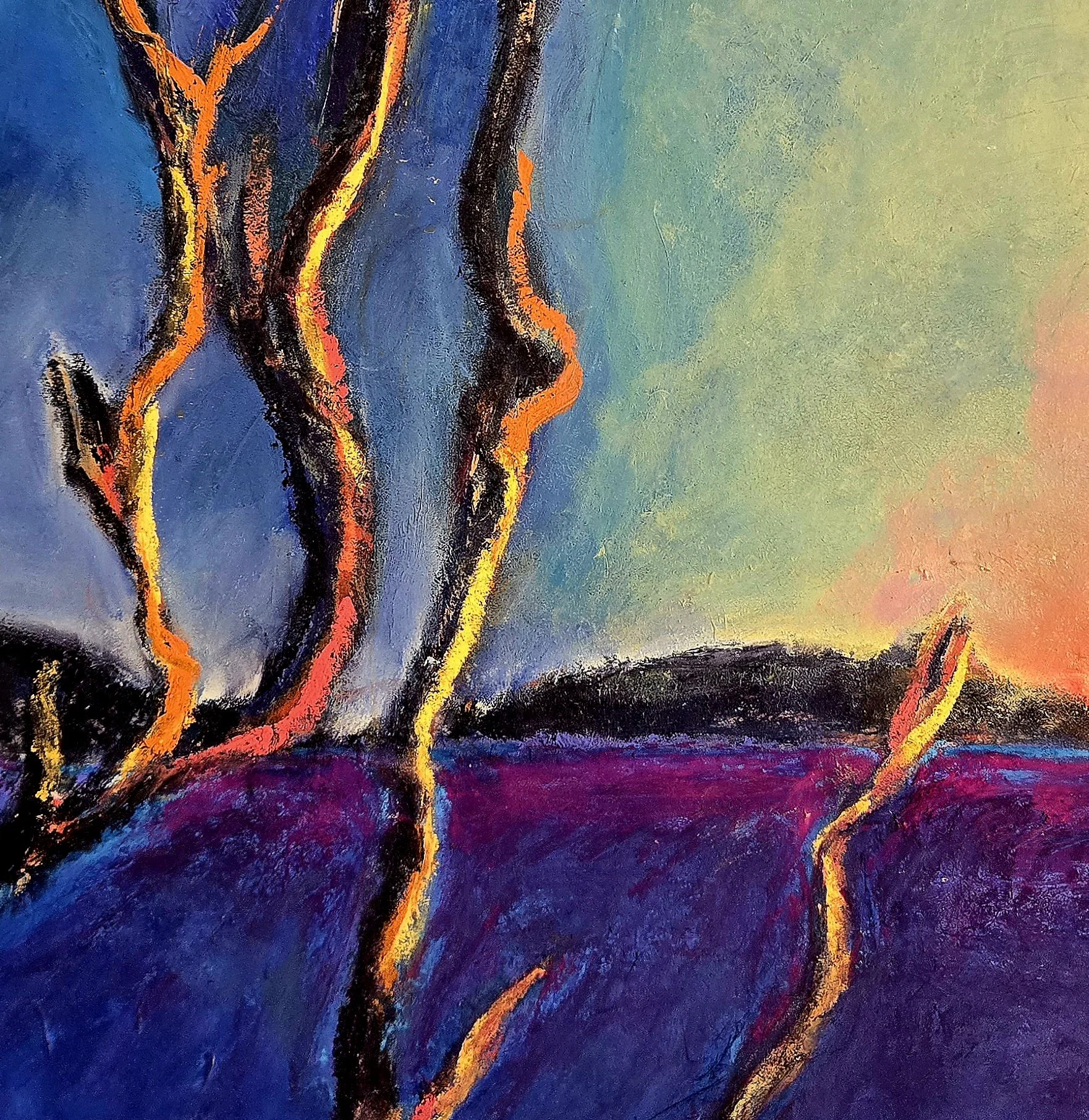 Detail "Burn Scar Manzanita" 2026