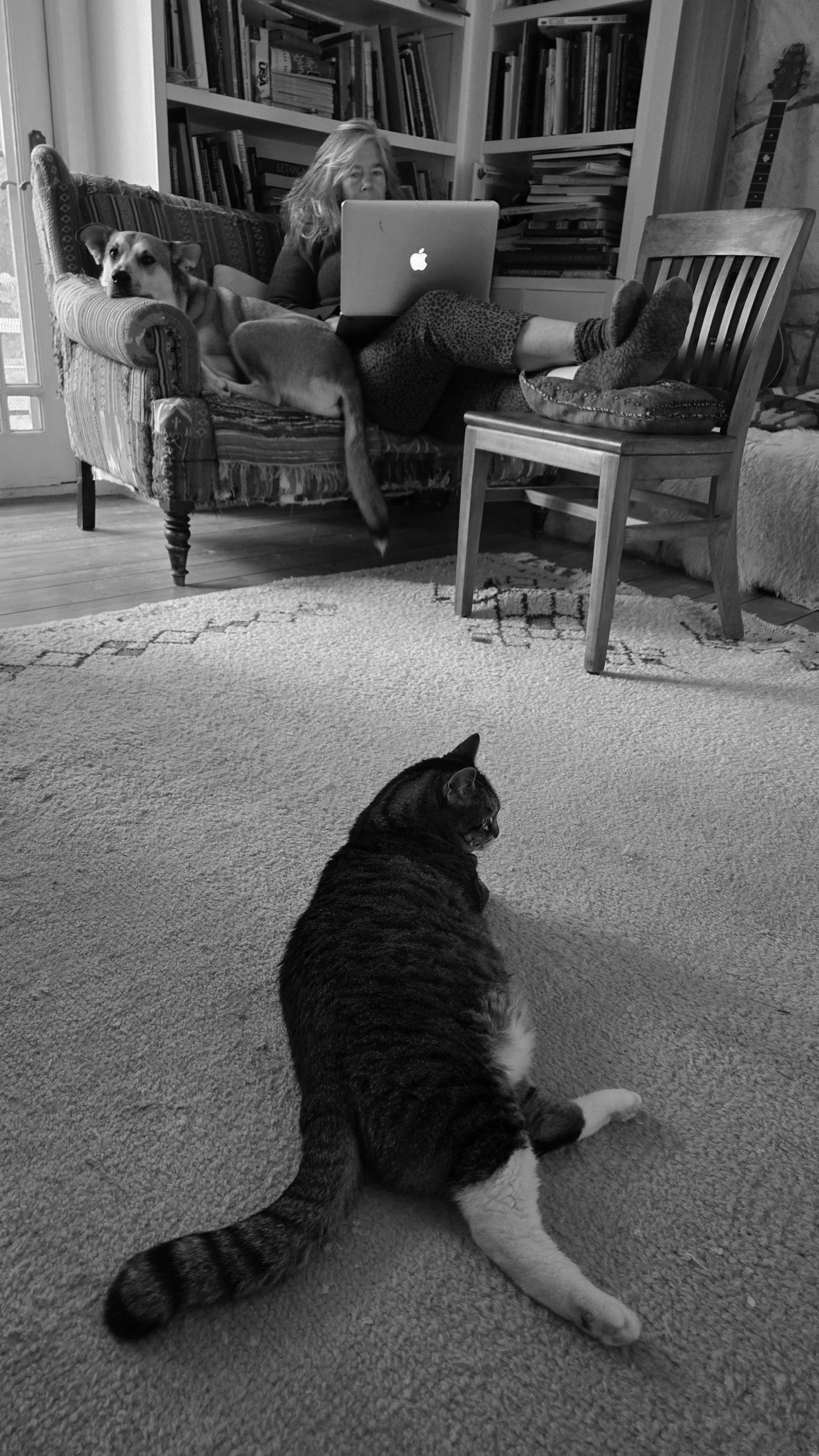 Writing companions.jpg