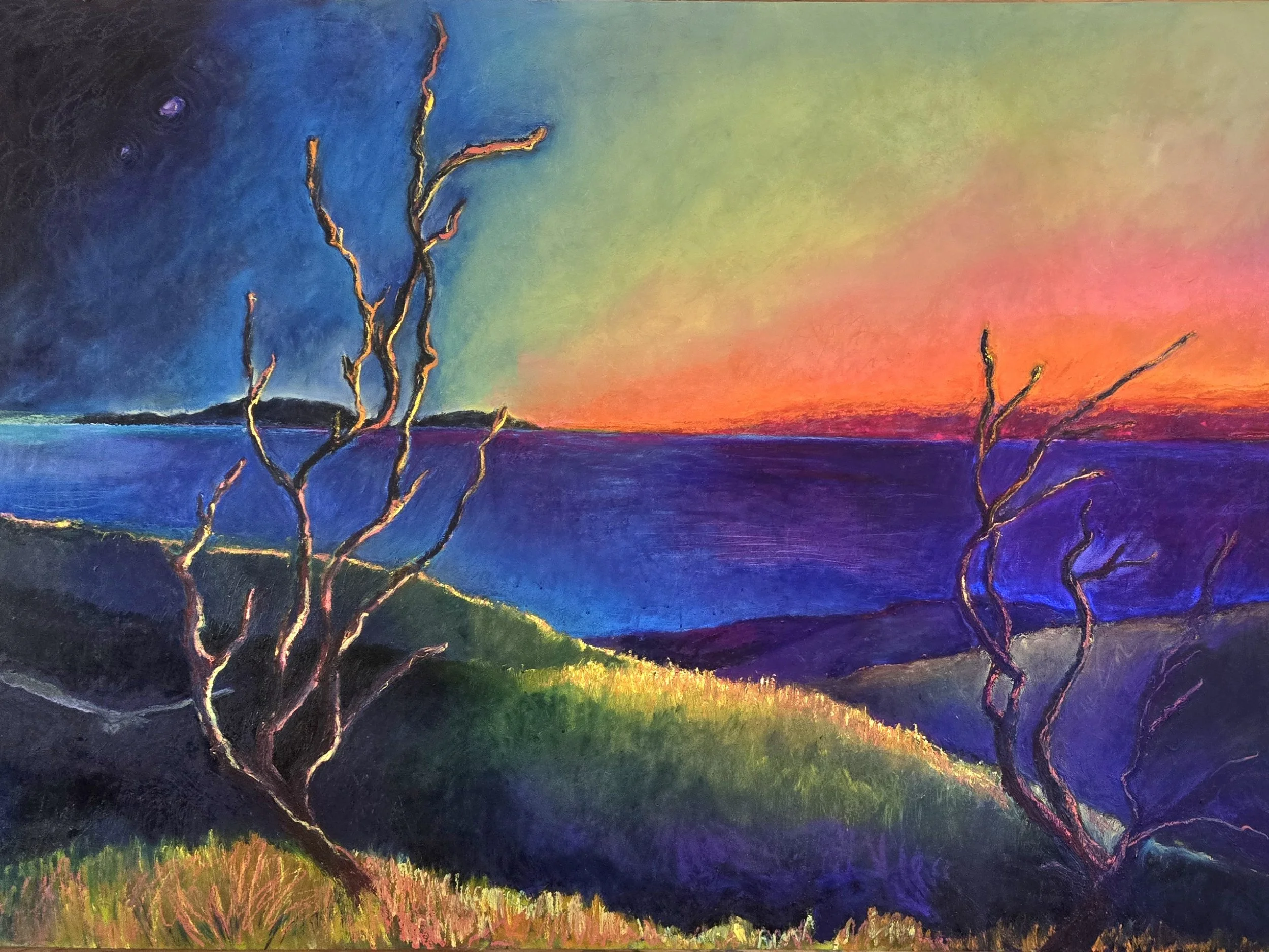 "Burn Scar: Manzanita" 60" x 86", oil and pastel on panel. 2026