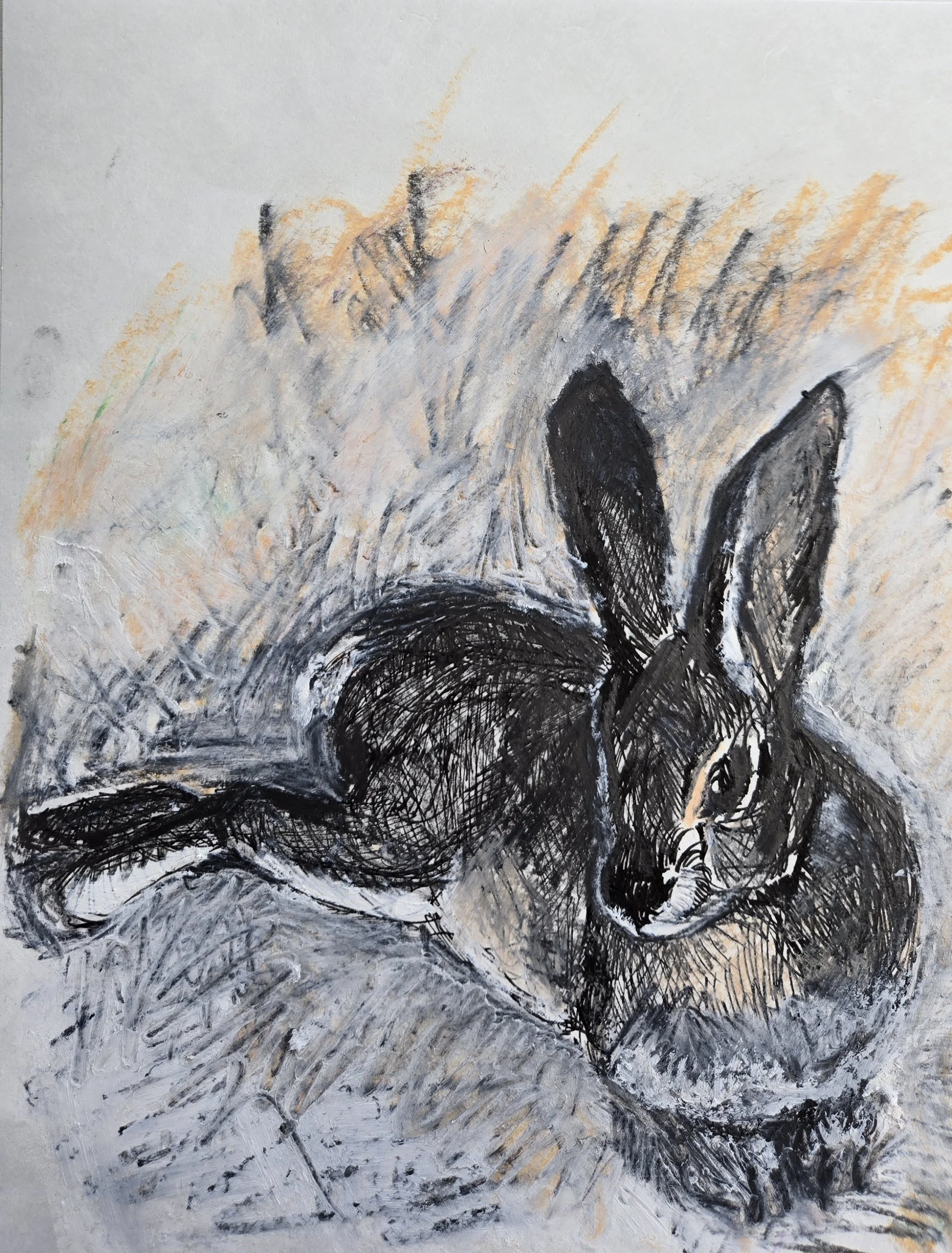 "Rabbit Sketch" 10" x 8", pen, oil pastel, graphite