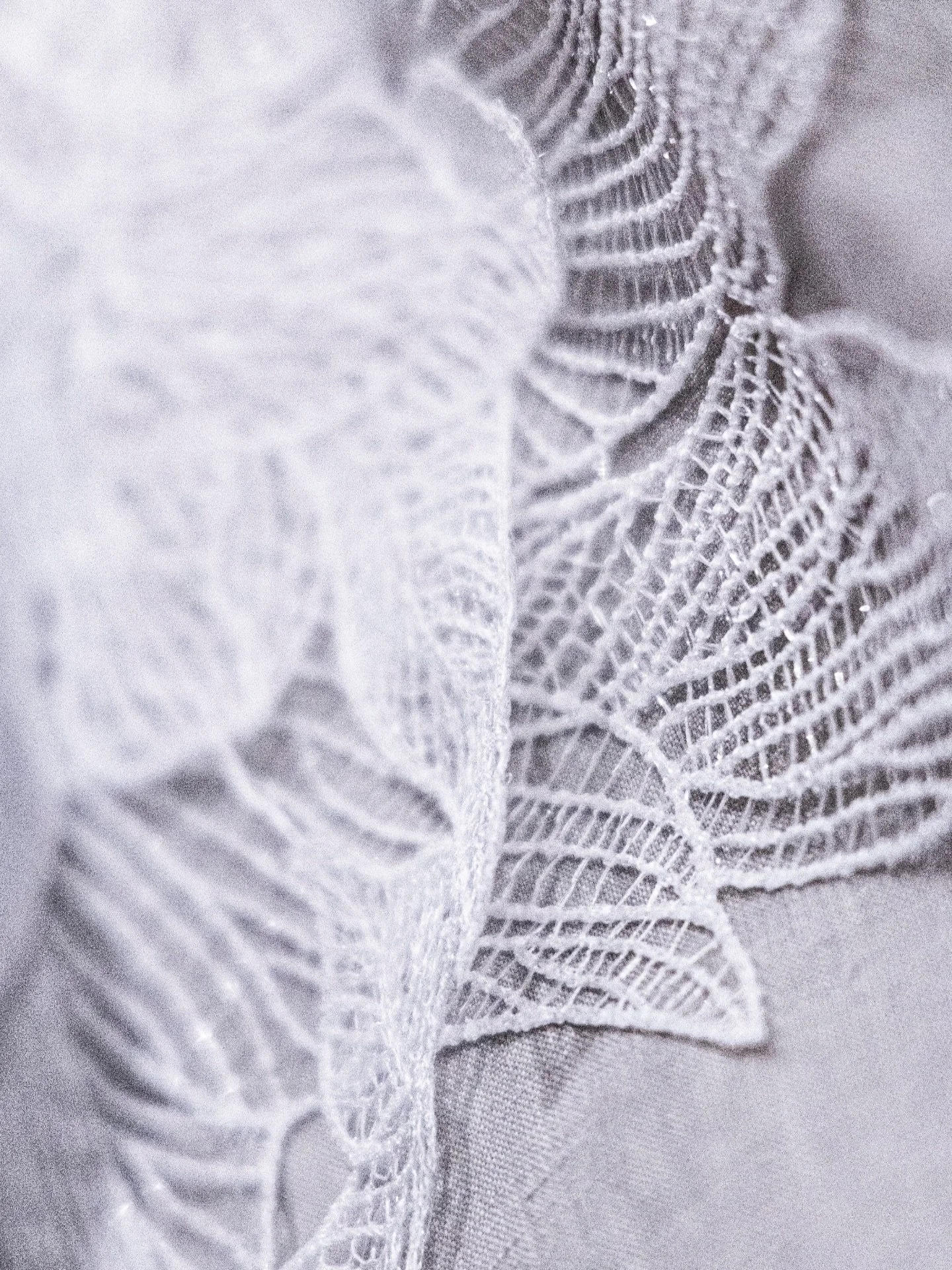 sospesa tra luce e silenzio

📸: @sparti_taci 

#sottrazionibydomitillafunghini