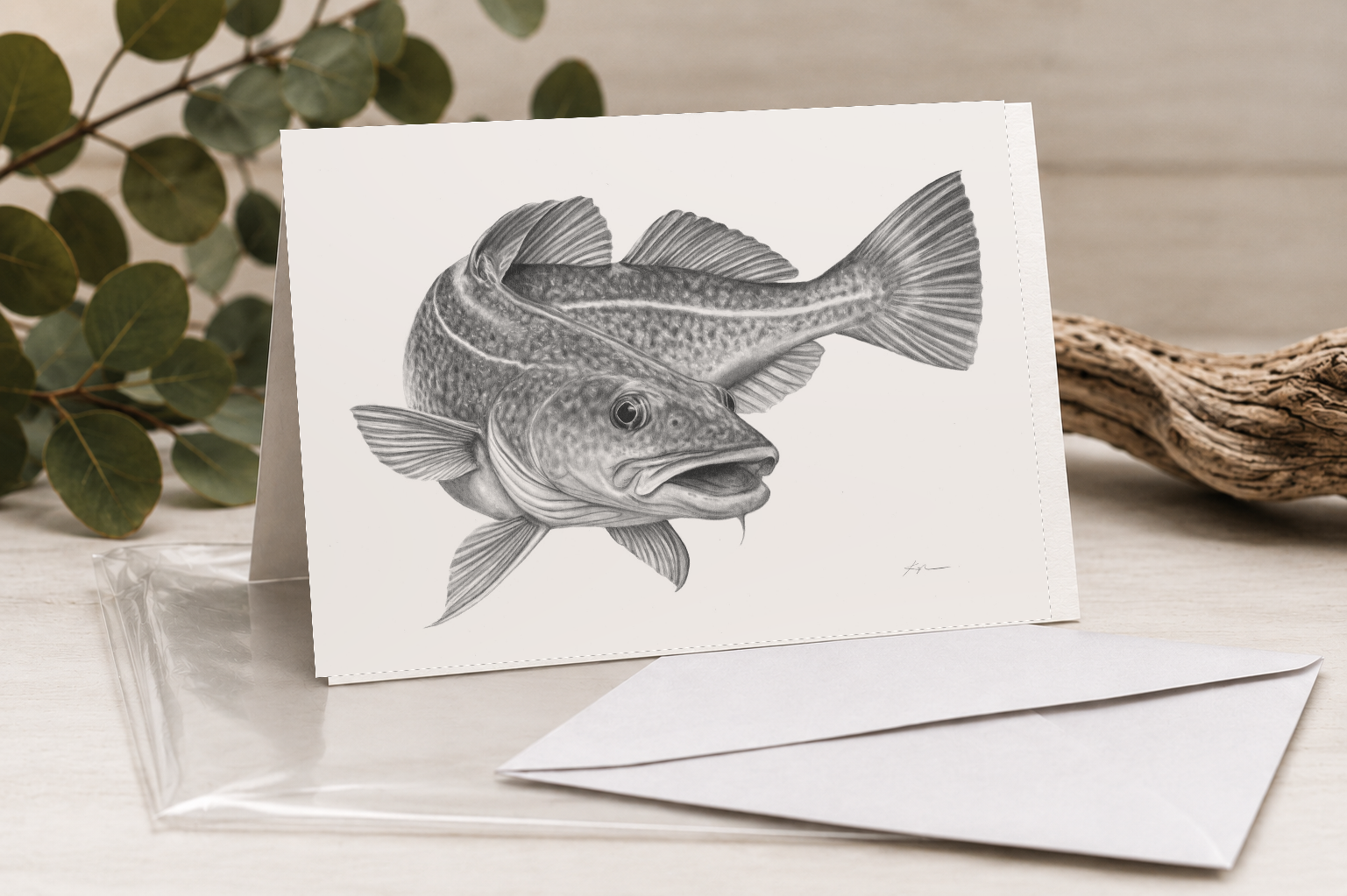 Atlantic Cod Greeting Card