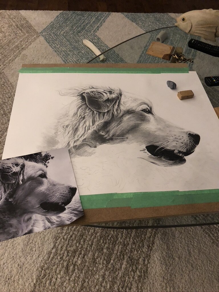 A drawing of a dog's head in progress on a table, with a reference photo of the same dog beside it.