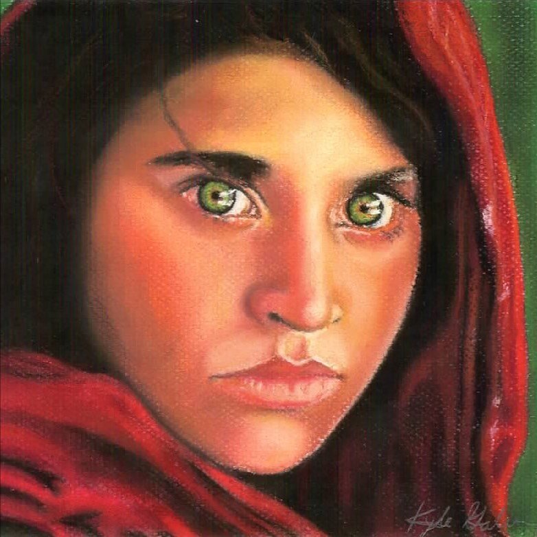 This is a chalk pastel drawing I did of one of National Geographic&rsquo;s most iconic photos. I am captivated by her eyes. 

Visit my website for information and commissions www.kylegalvinart.com

#artistsoninstagram #chalk #ontarioartist #orillia #