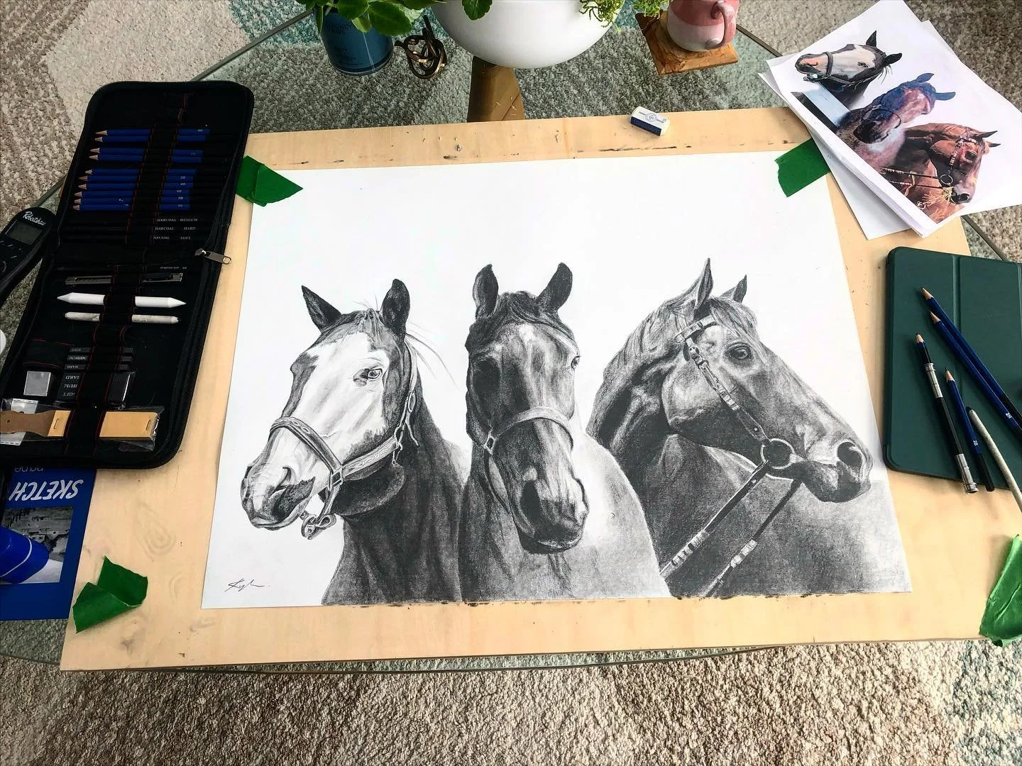 A compilation of her horses for a wonderful client!