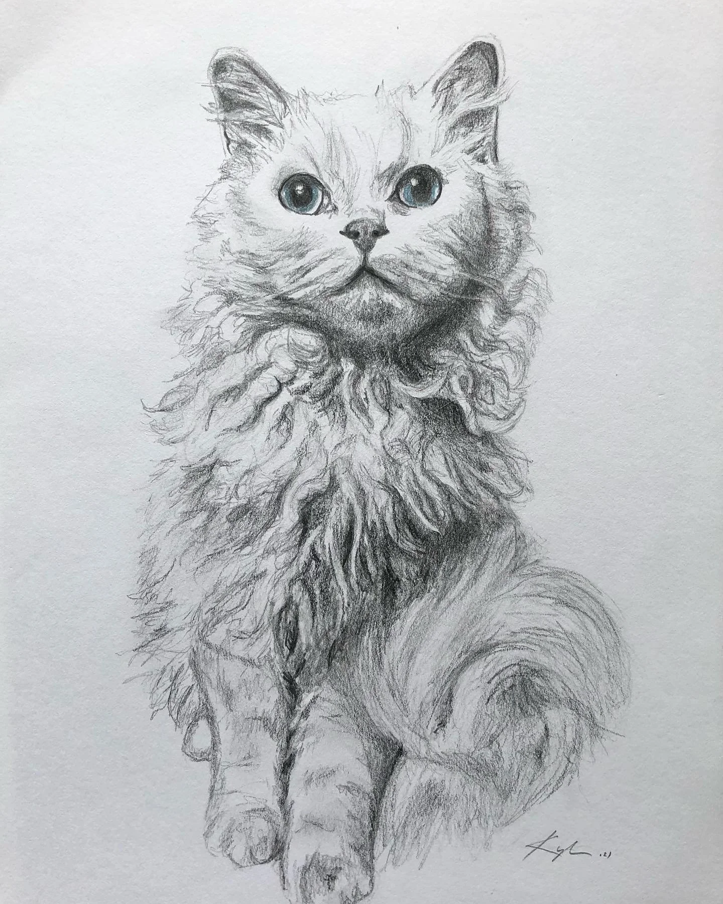 This beautiful feline was so curious about their portrait.