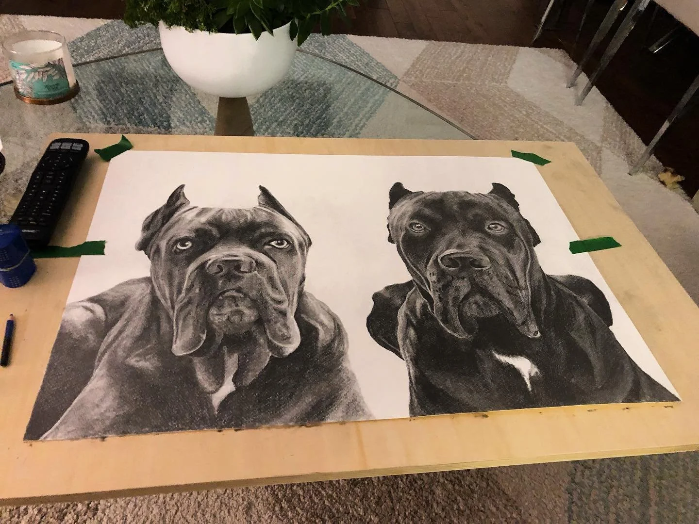 A recent commission done of these two handsome boys. Graphite on paper.