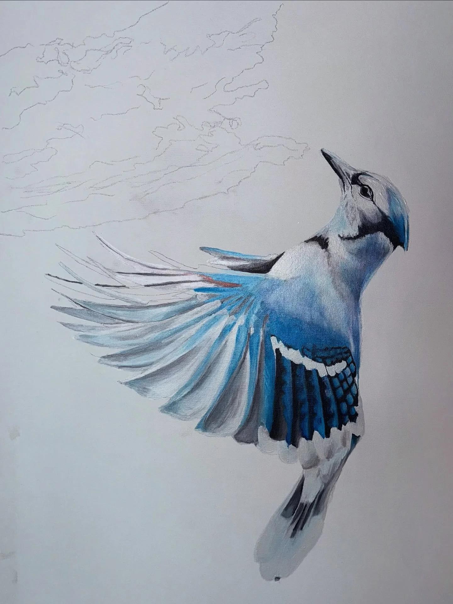 This blue jay has been mid-flight for&hellip; let&rsquo;s just say, a few years now. One day I&rsquo;ll finish those wings &mdash; but for now, it&rsquo;s a masterclass in the art of procrastination. 

#WIP #BlueJay #UnfinishedBusiness #ArtistProblem