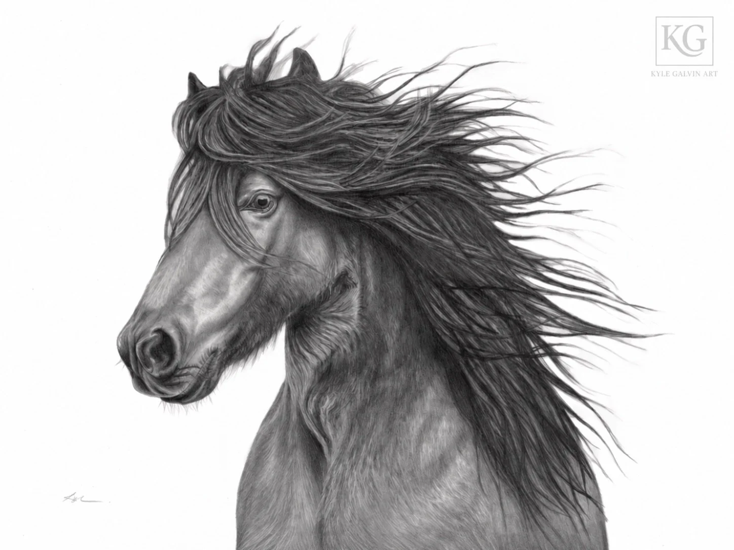She&rsquo;s sassy.

The Newfoundland pony knows a thing or two about pulling its weight. Descended from English, Irish, and Scottish ponies brought by early settlers, this hardy breed worked alongside island families for generations. Dependable and f