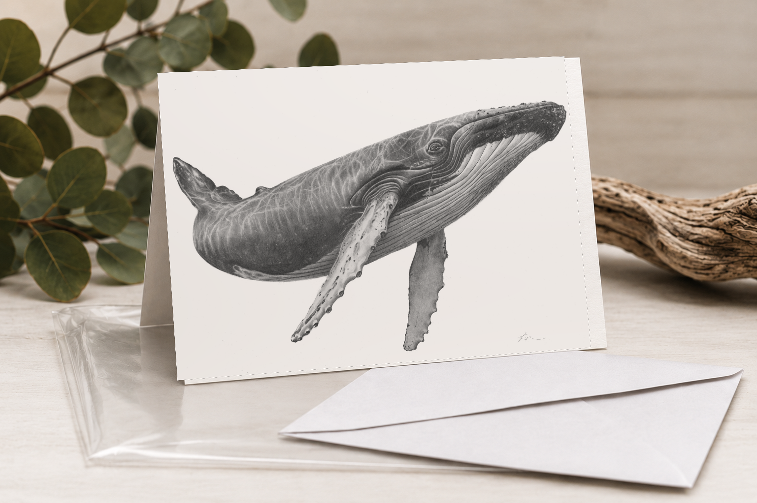 Humpback Whale Greeting Card