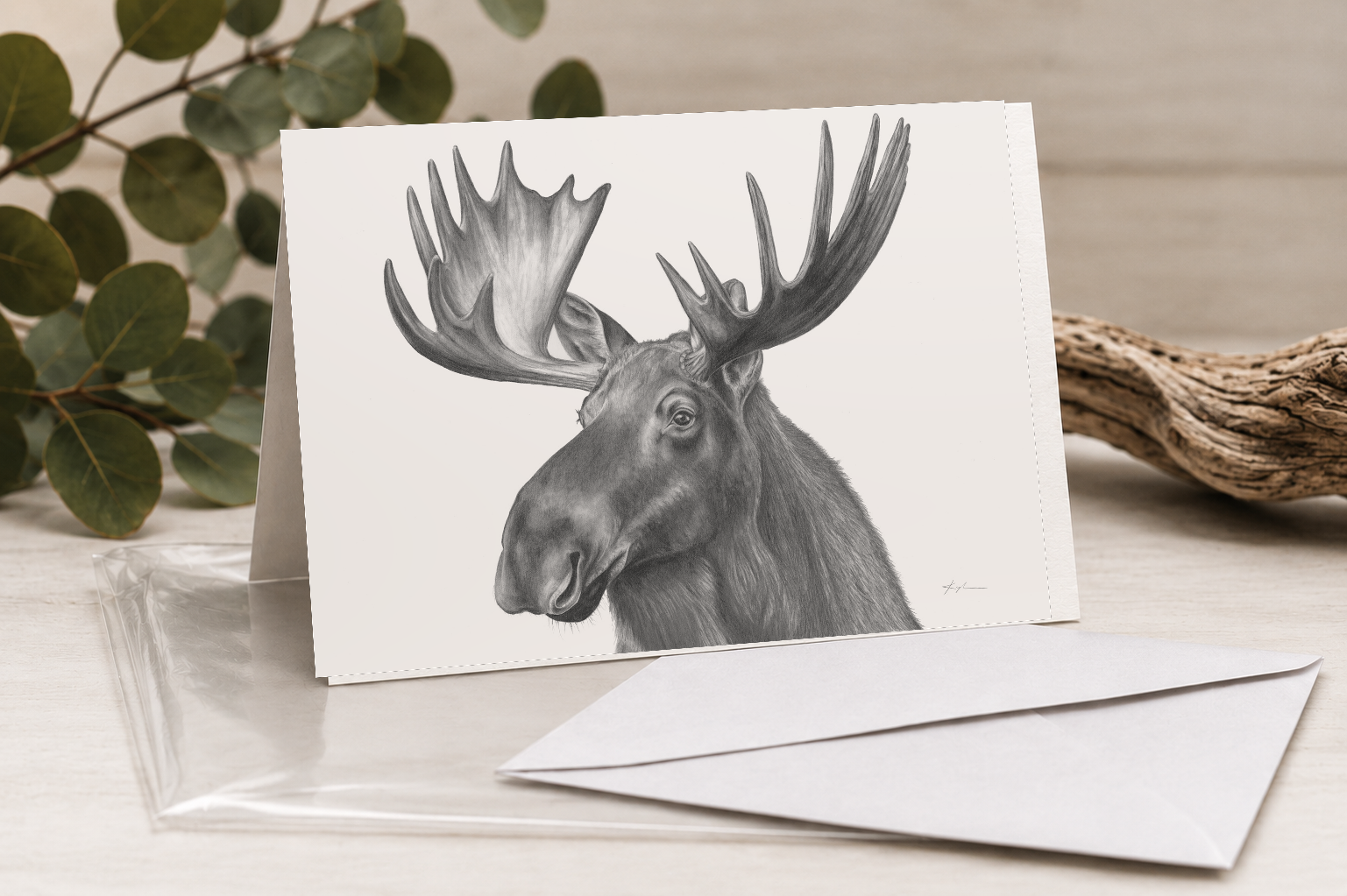 Eastern Moose Greeting Card