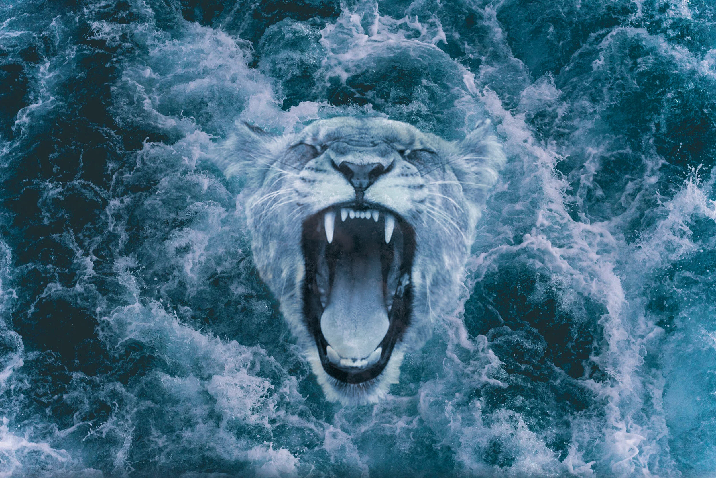 King of the Sea.jpg