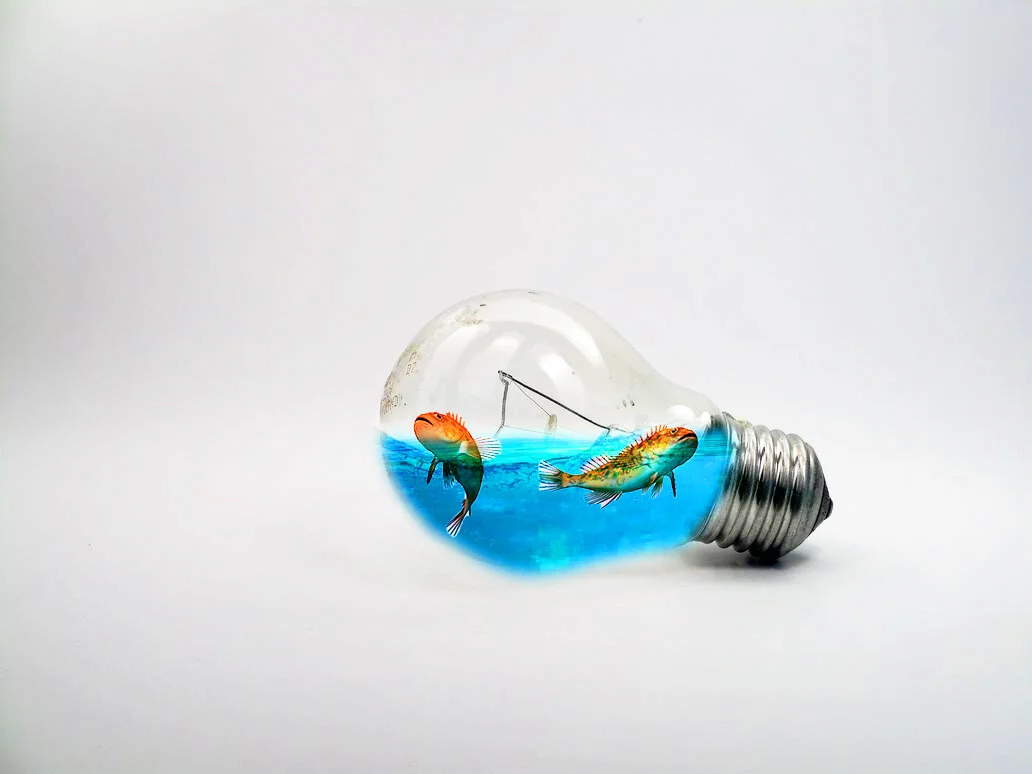 Light Bulb with fish.jpg