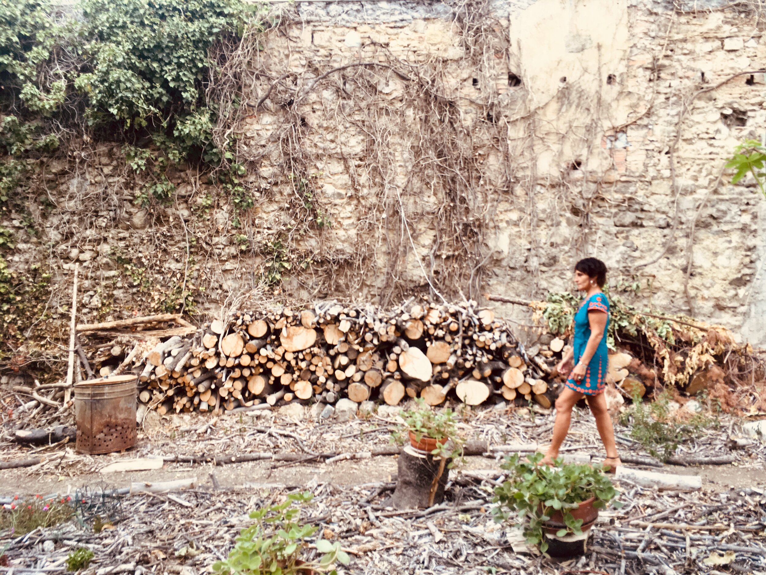 EX SOLUM by EMIDY PROJECT  ©joeldefrance