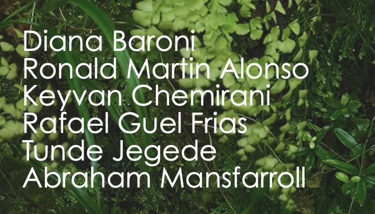 Liste de noms de personnes sur un fond de végétation luxuriante.