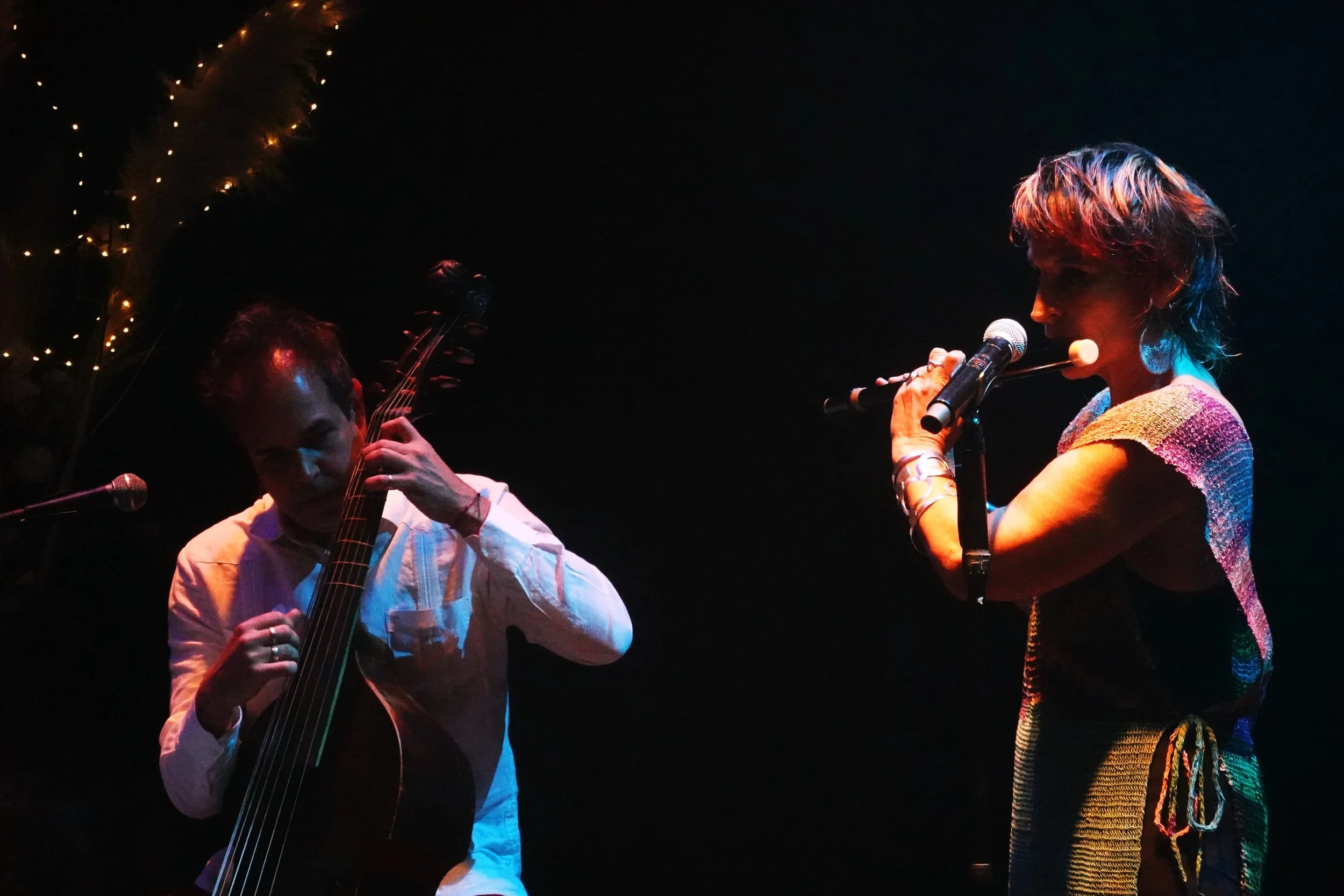 Deux musiciens jouent sur scène sous un éclairage tamisé, un homme avec une guitare acoustique et une femme qui chante dans un microphone, avec des lumières de décor en arrière-plan.