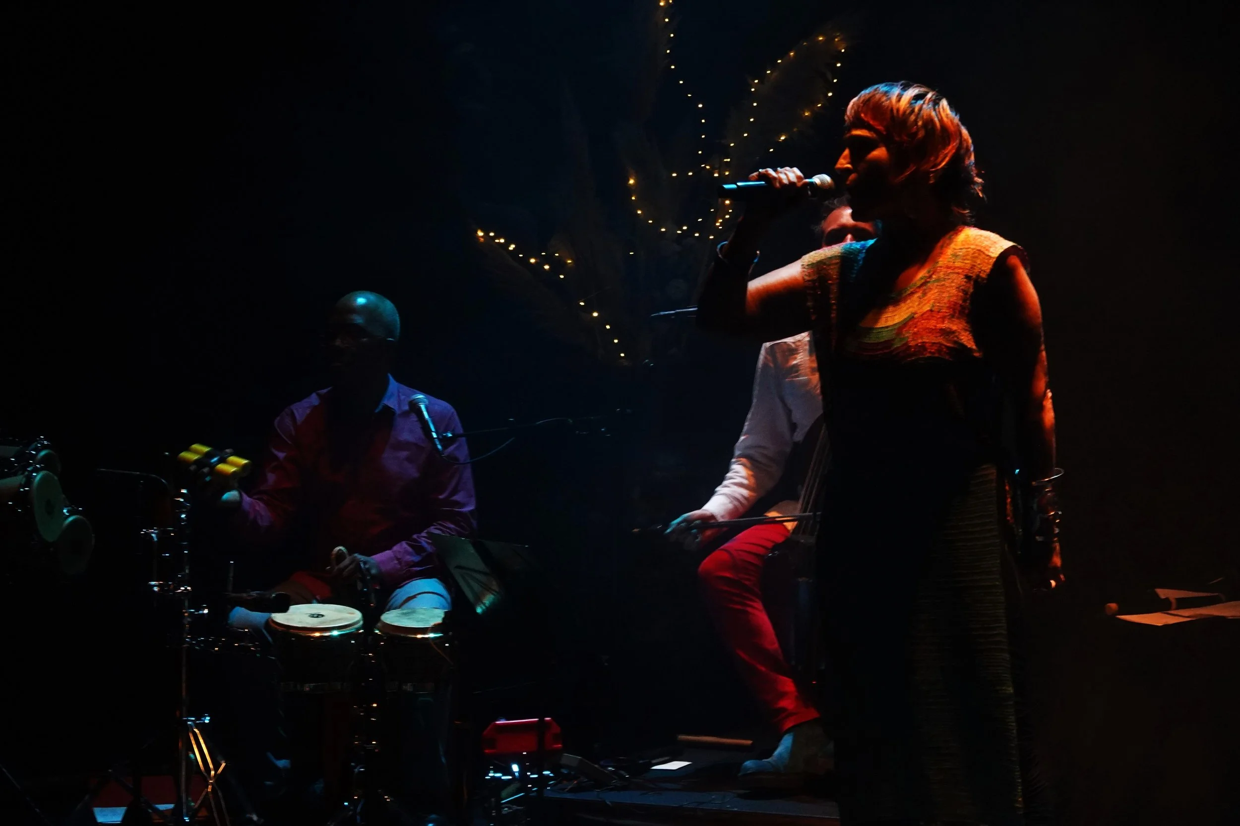 Une femme chante en concert avec un microphone, entourée de musiciens dans une ambiance sombre avec des lumières chaudes et douces.