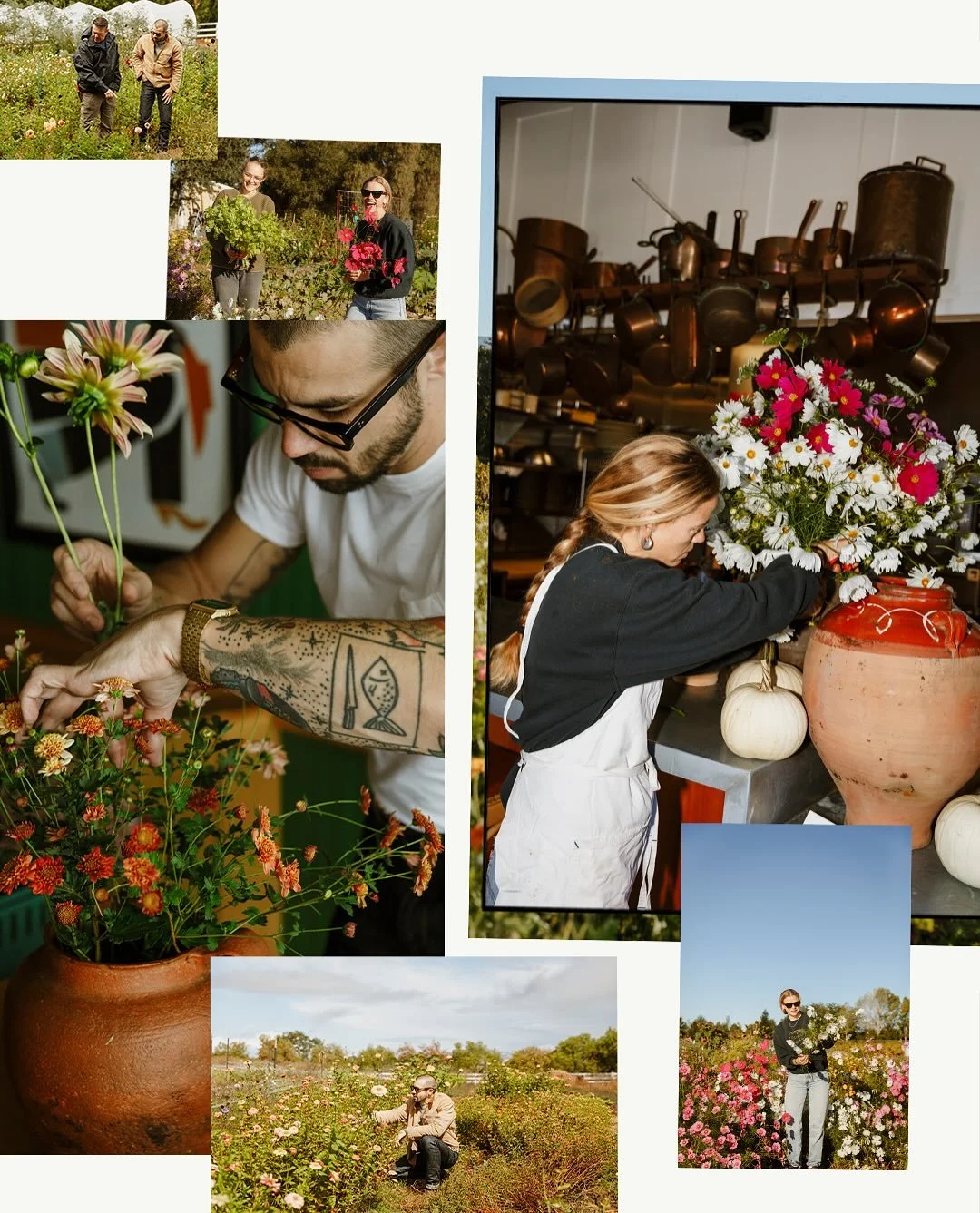 Chefs Daisy and Brad bring their sense of place and seasonal ethos to the flowers throughout @bellslosalamos and @barlecote. Read the story on the Companion Journal: link in bio.
@amevive.wine
@thestarterfarm
Photos by @elli_lauren