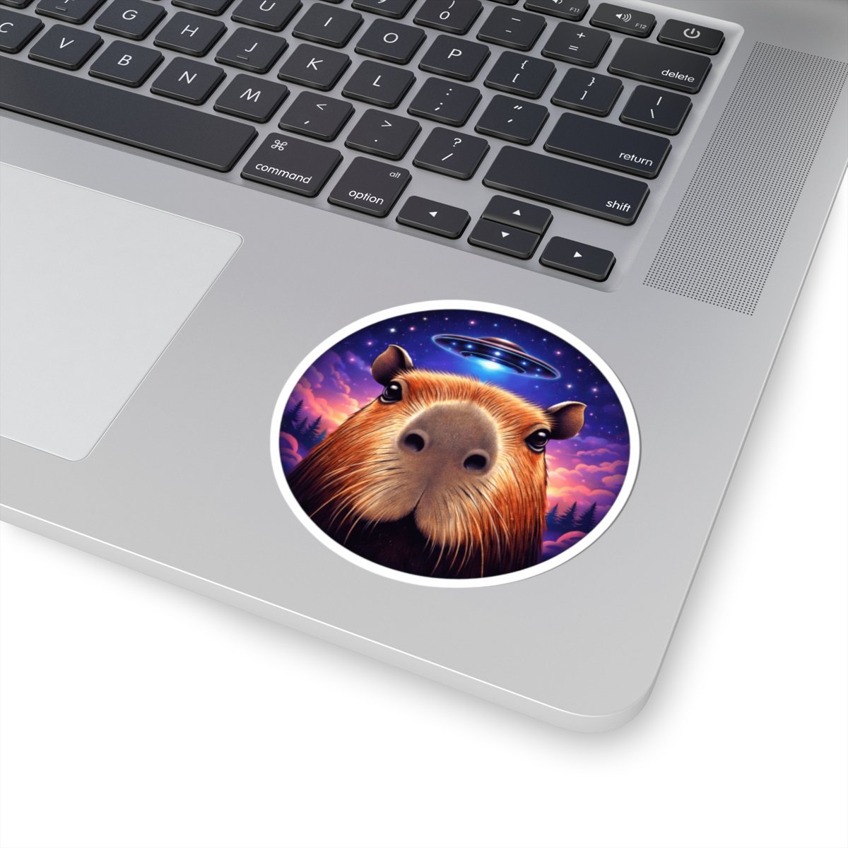 5a00043e973f19a70bf1626066837f58