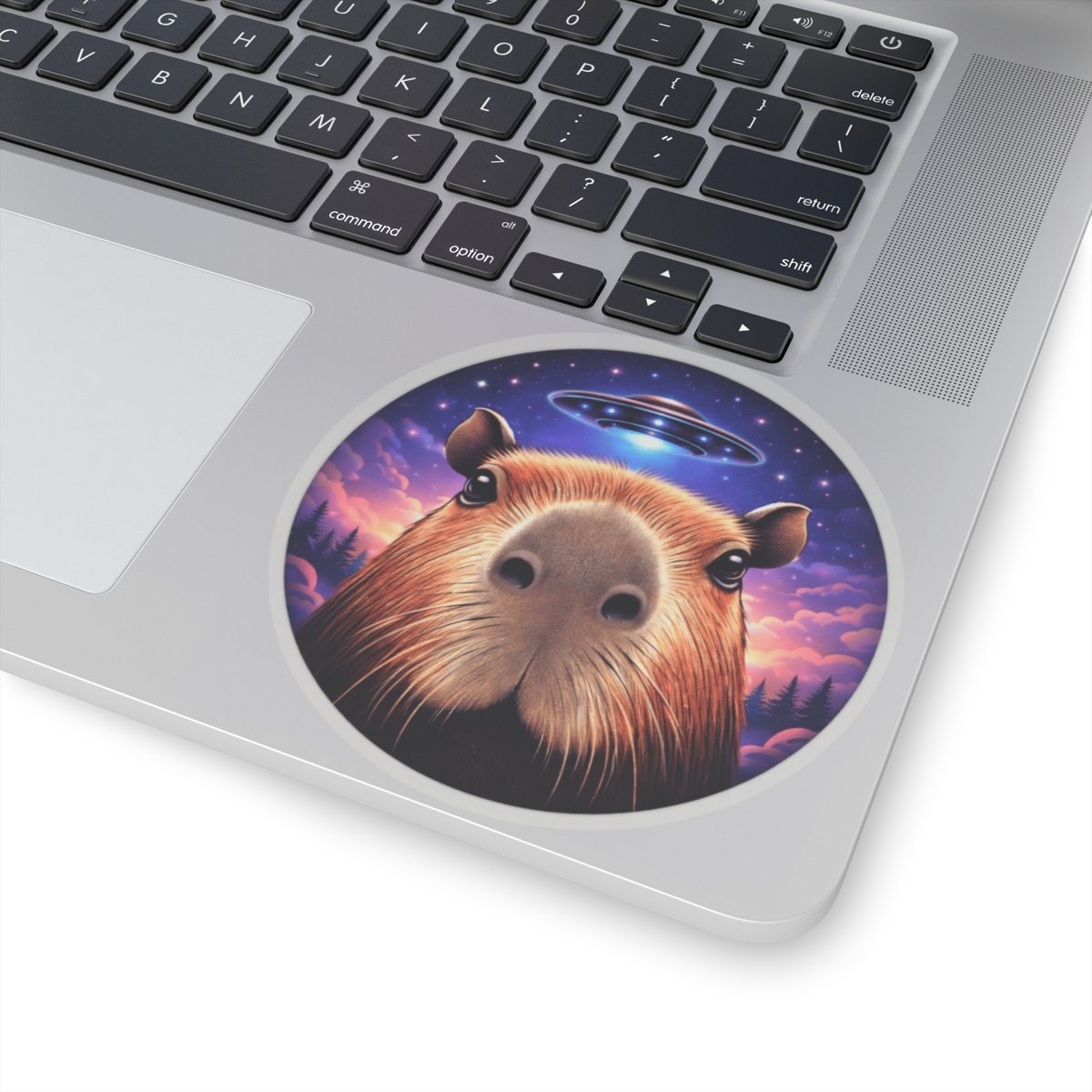 4982ee7d52de4e26768931545fe94b90