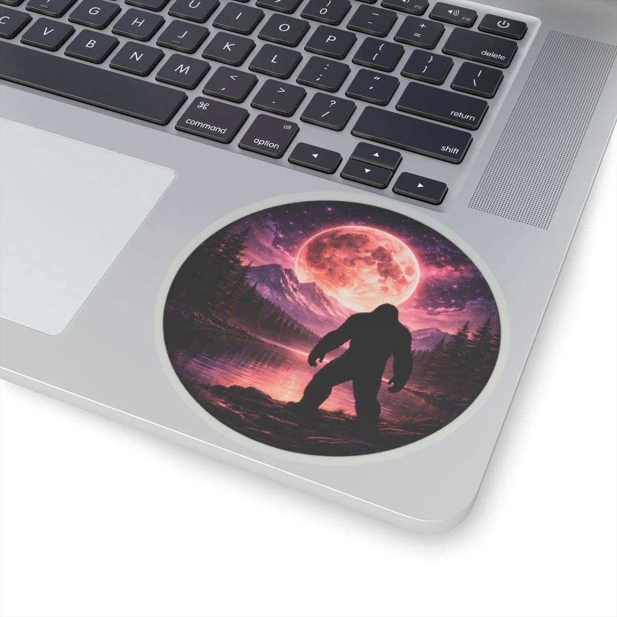 aa98209d374f52e6fb61337eff6f898a