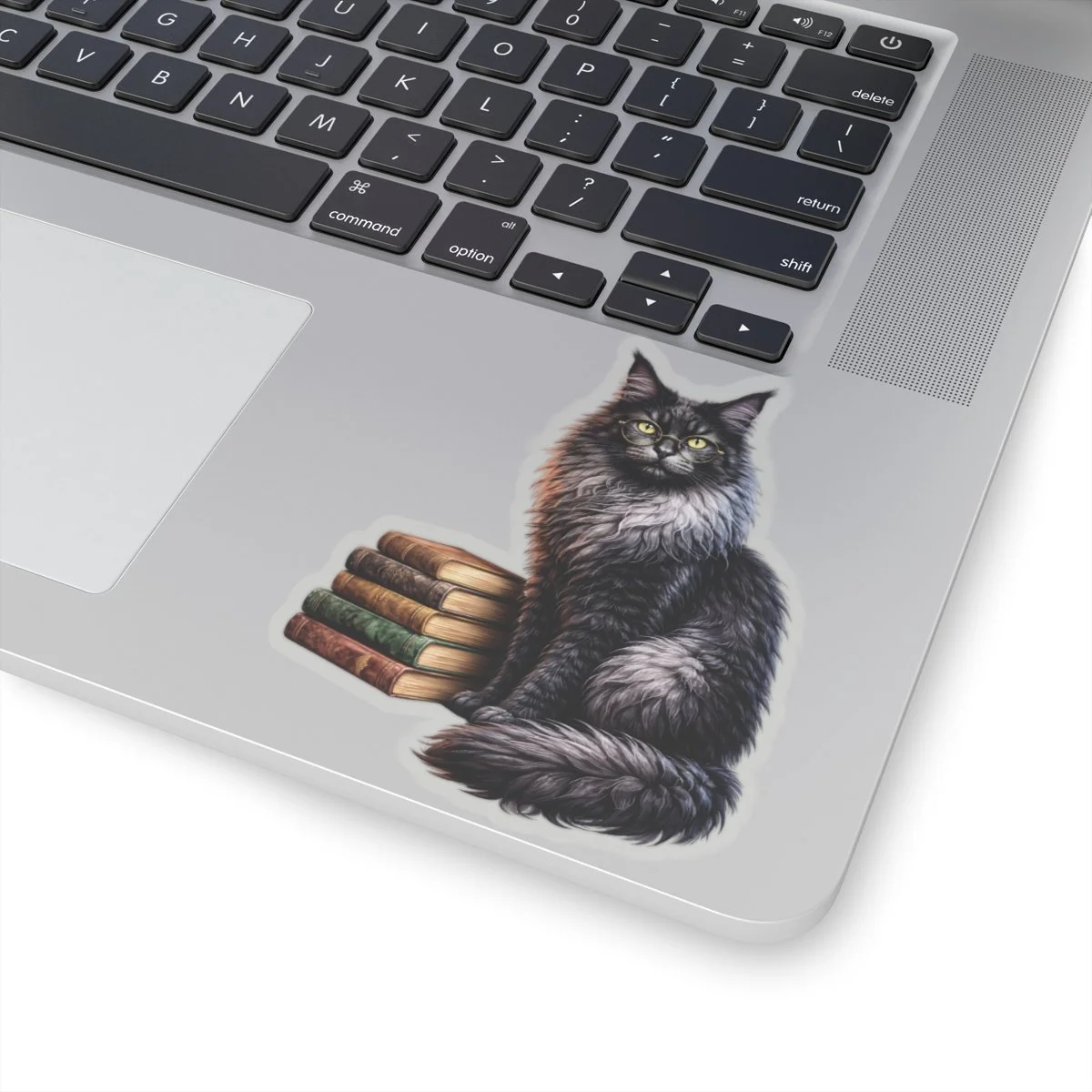 608458d6f27229344acd4ef3363e8bd6