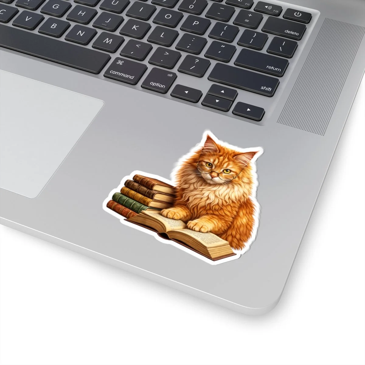 2d21d16baccbb151fdc91b810fbfb462