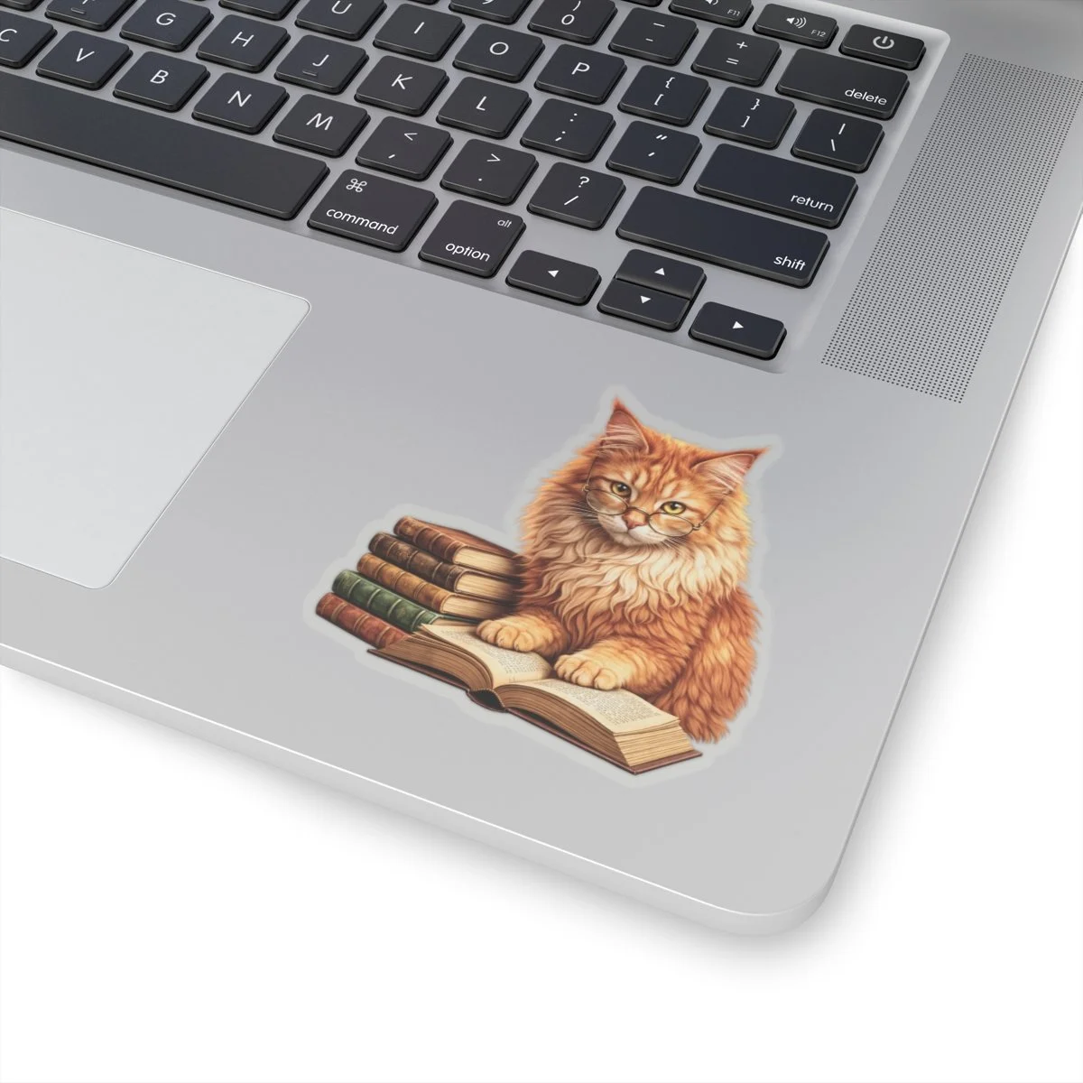 42959e67a5a407cd9a4aa21ee13fcdb3