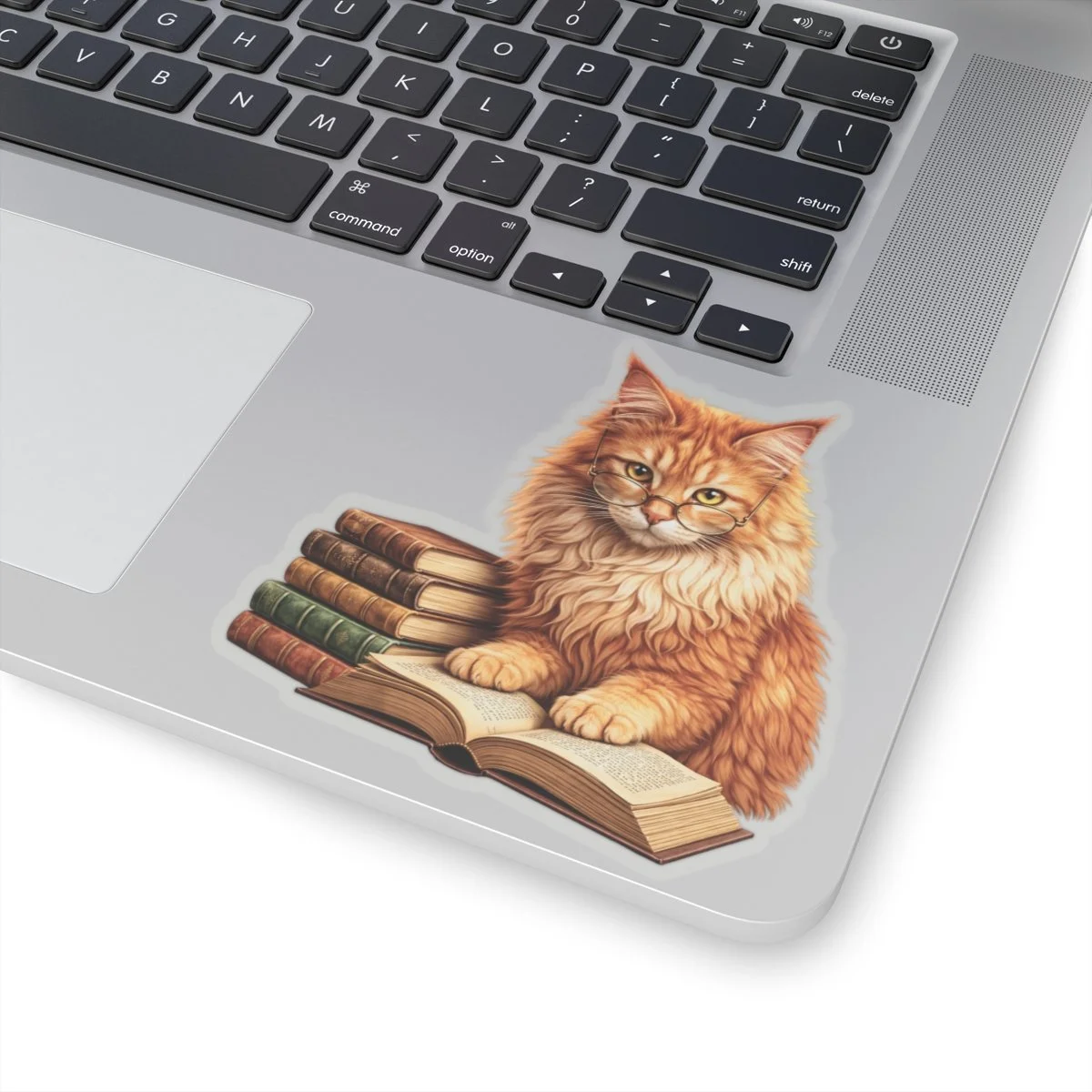 a7b98e1a97c145cbadaf8887011970d6