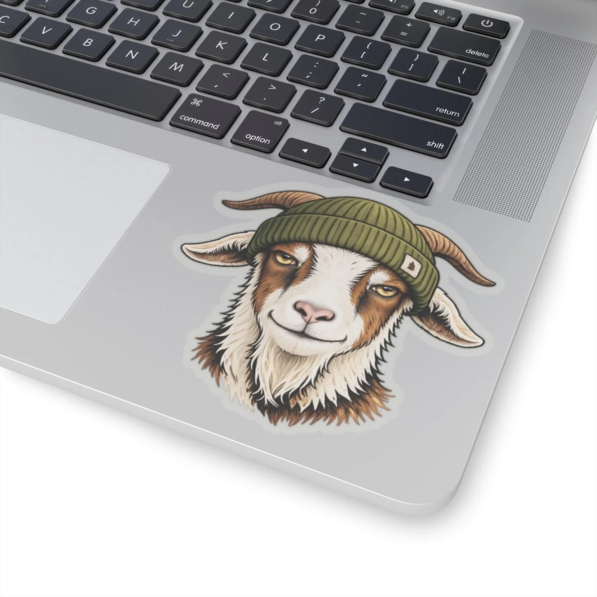 d9efebe4cb4a975898510b516819ce50