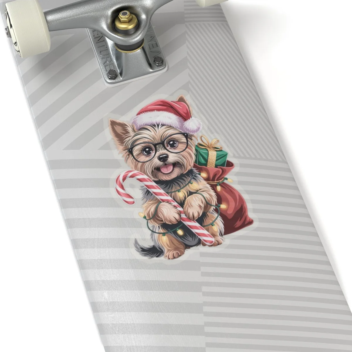 1c9501b1b18df14ed17e0be06026ebbc