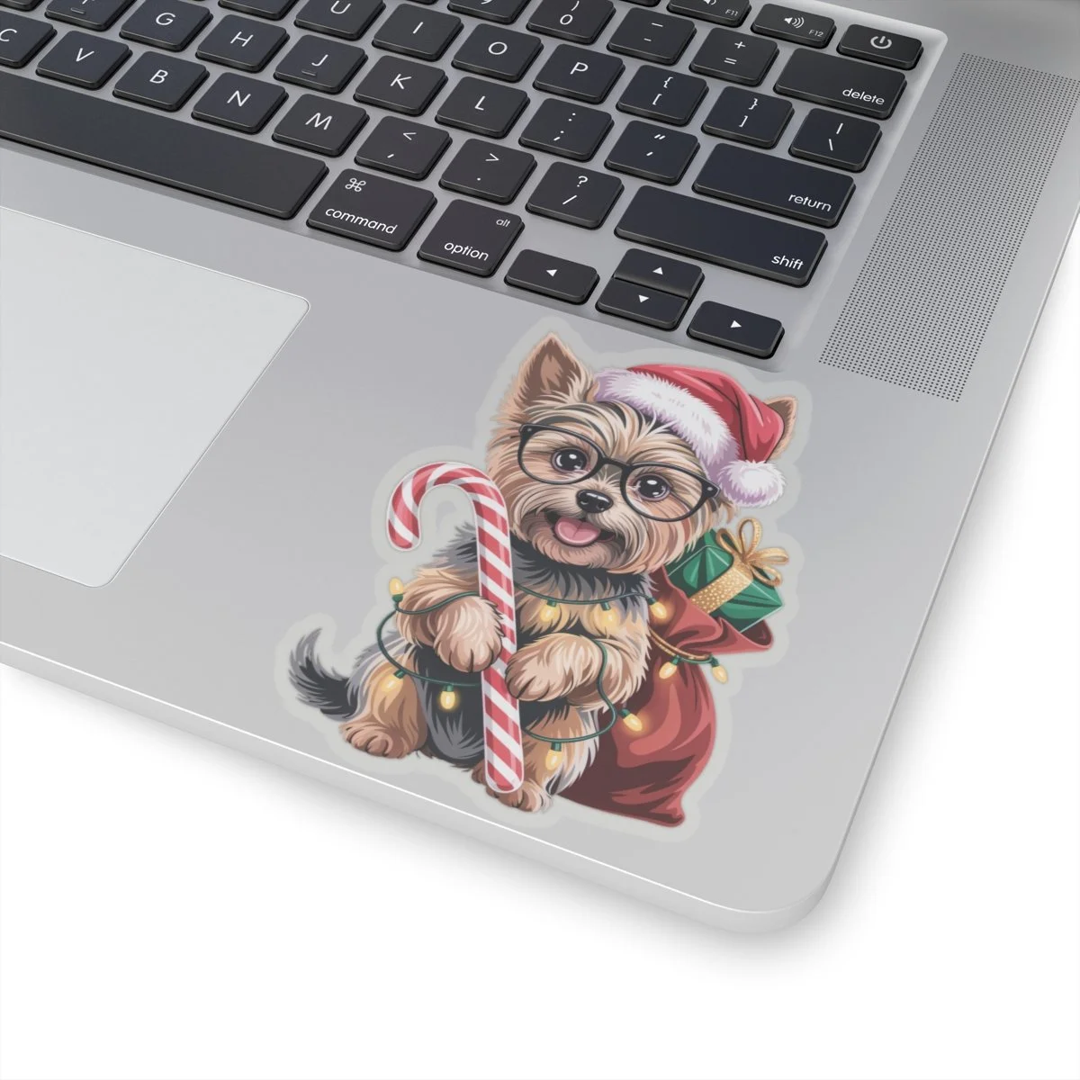 474000a9946575daca4e53da4c2efc64