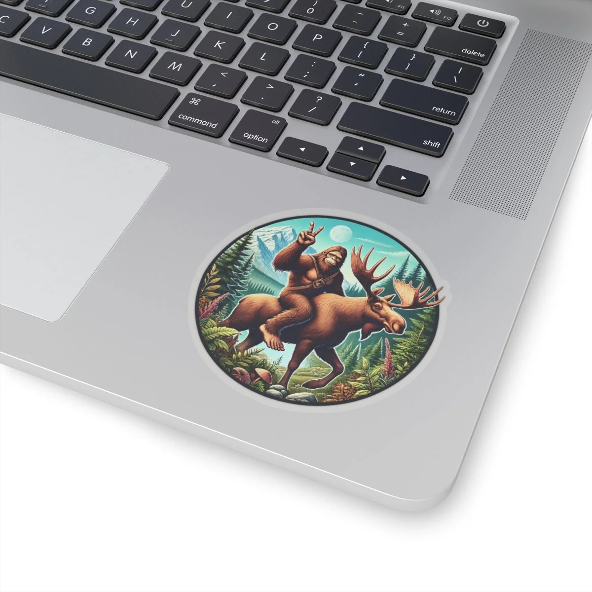 c3910a1802f0e70673a8100508382565