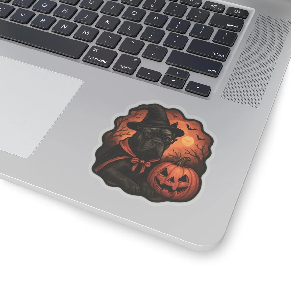 ef3ce8e64d9a8f3efb9663657091cd3a