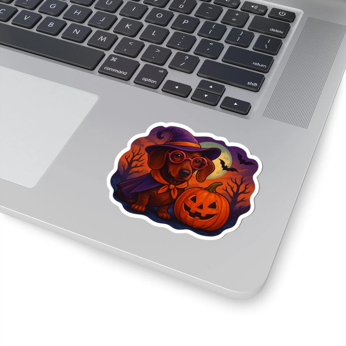 3fd5d4e96560ed6f30c0dc6b4e6ae23a