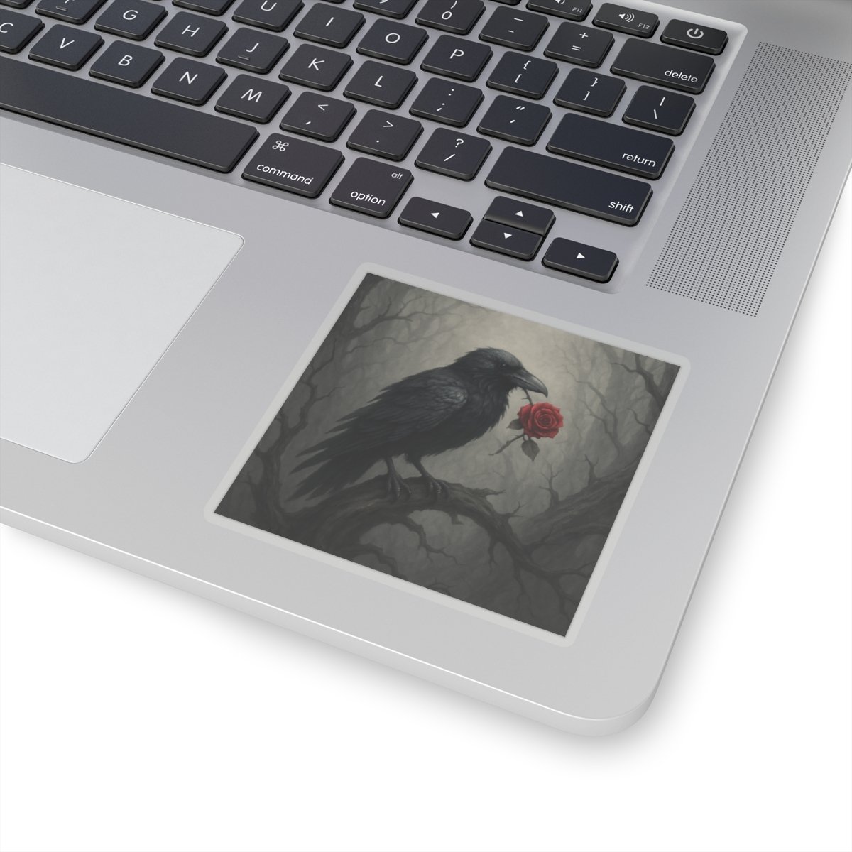 0216b11bc053de72273fad48ae3da72a