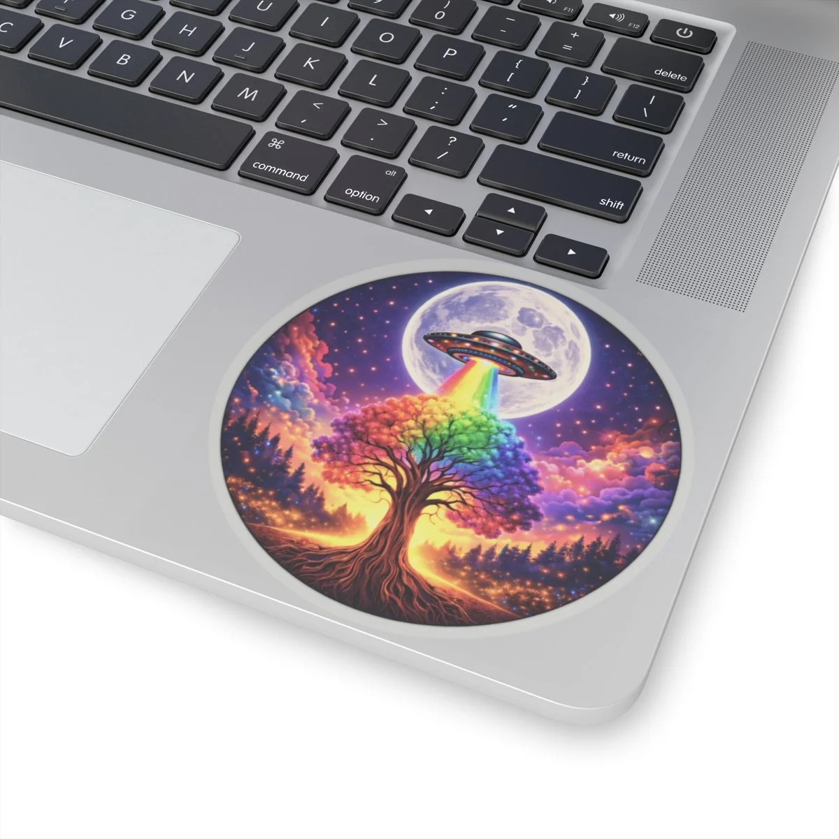 503d591ff447d6494d3b784a89e12847