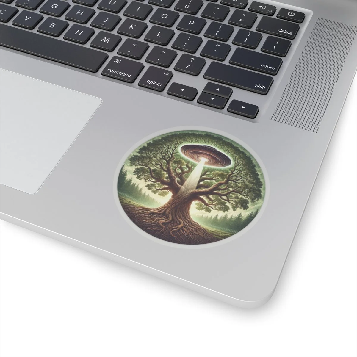 fb49681c4735e1298ebedcac4069fbba