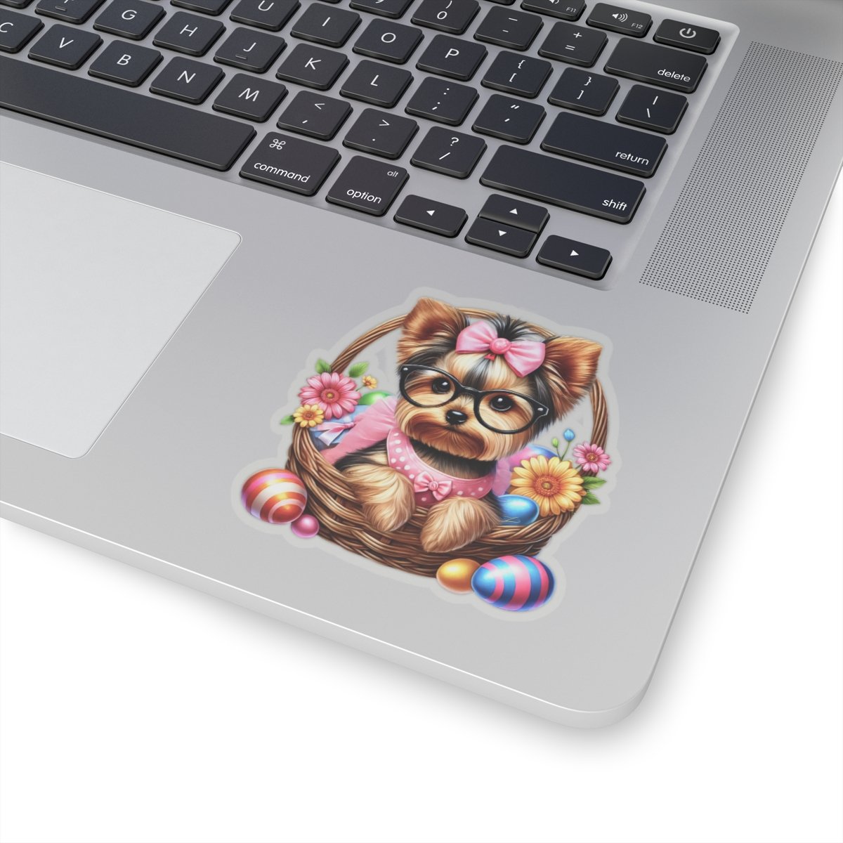 b6eb2130cc92924010bef338a6f5562b