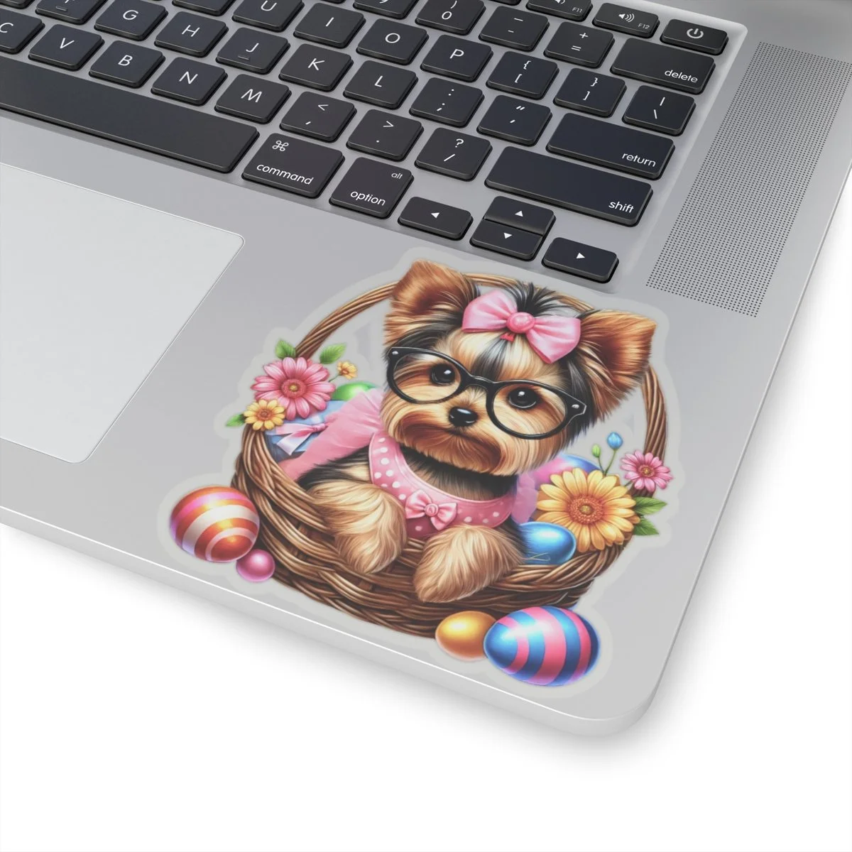 6b446a06fd1884e041047a9bb60ac0b0