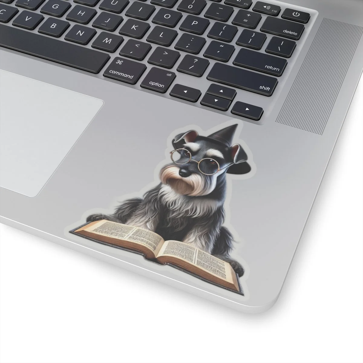 1cf1a02a0ac655436aef8745e26e46e2