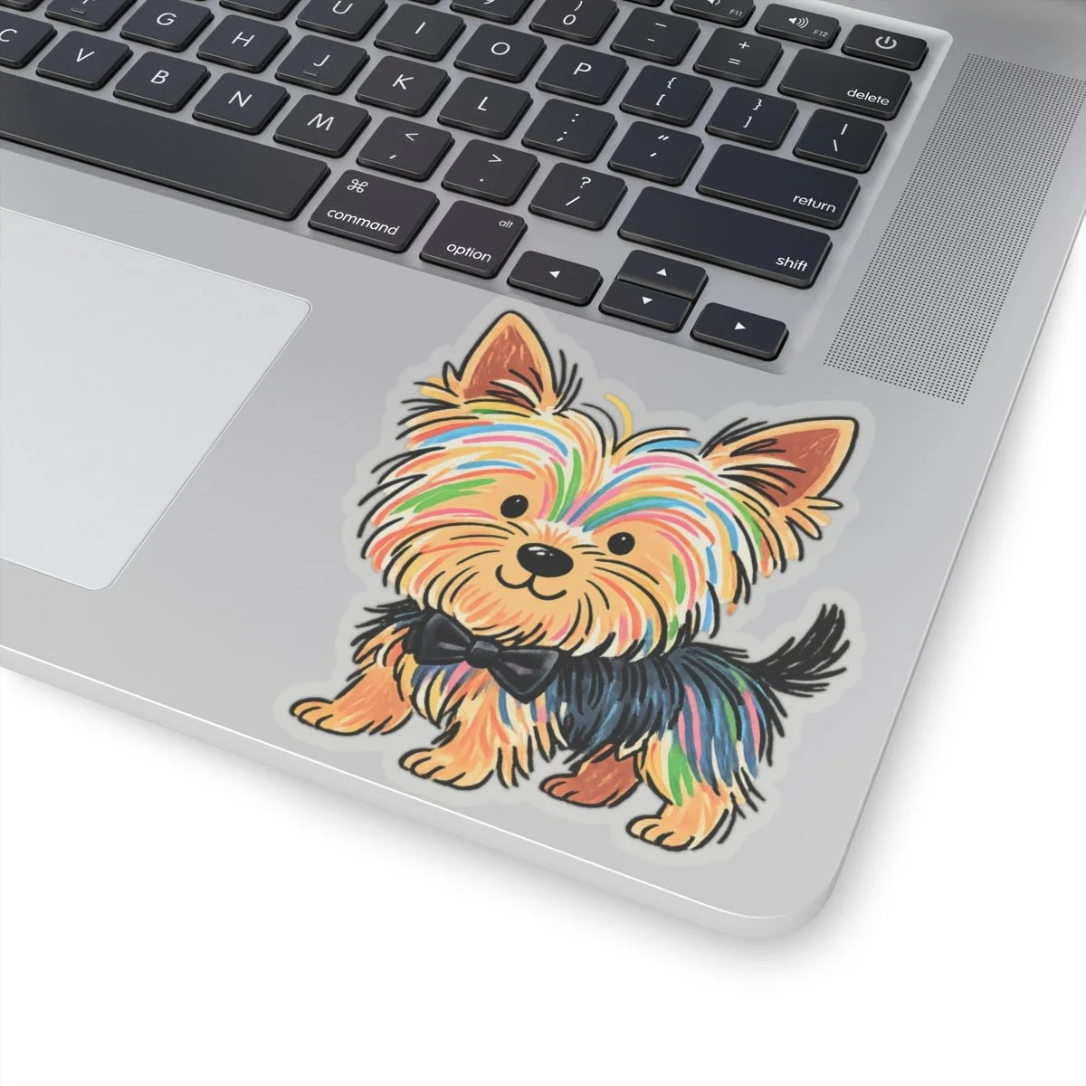 a5d408f4f2d978e6ded80f580d0e5c4e