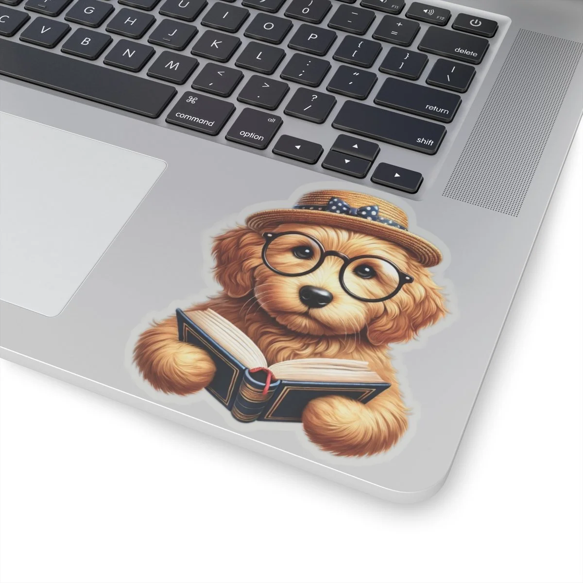 8c37ead0170ee48839197b9aa86c2cdb