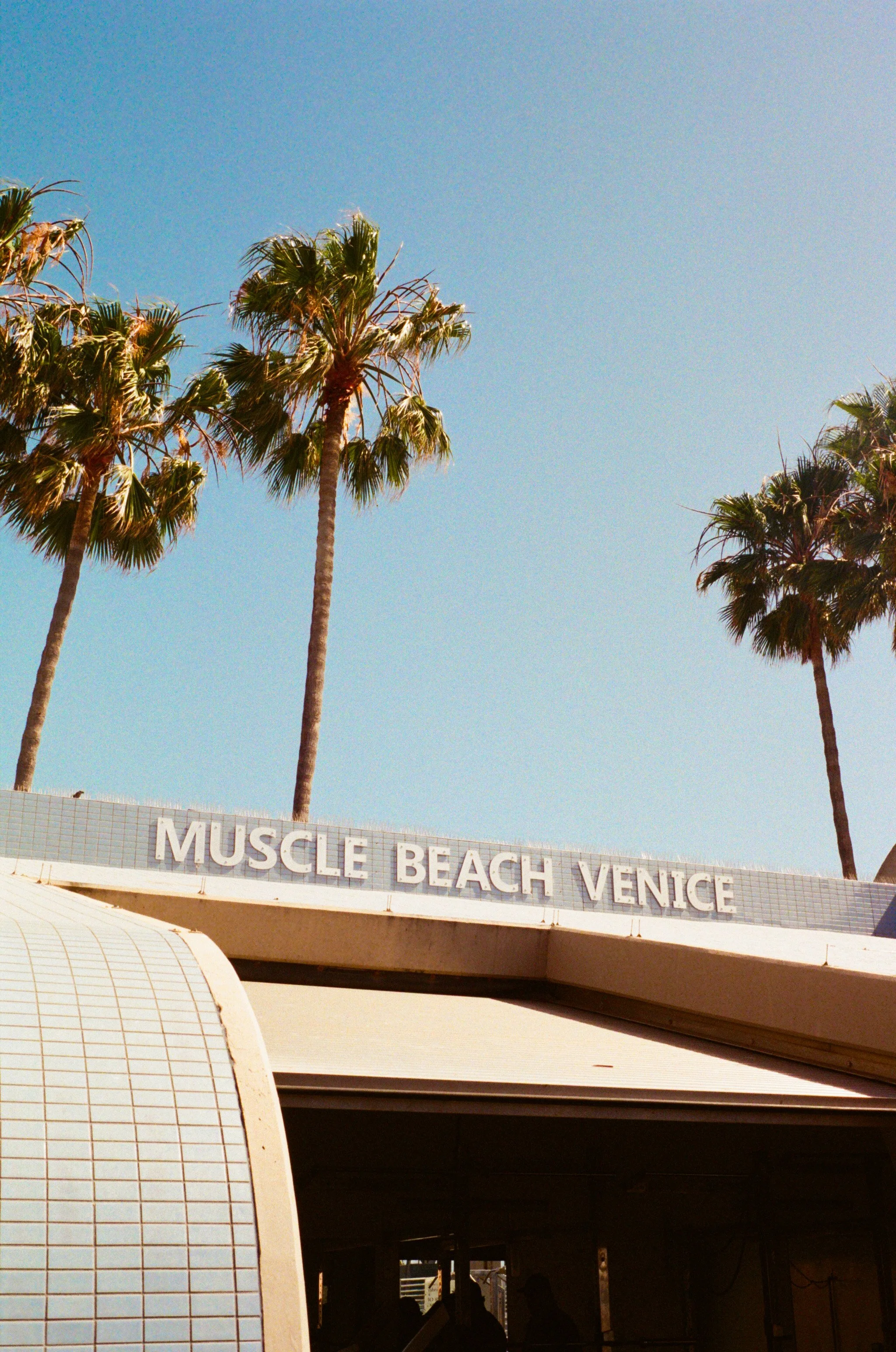 Muscle Beach-17.jpg