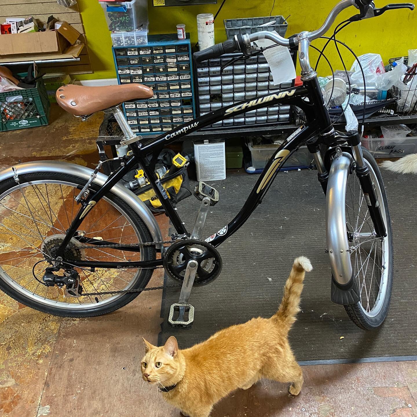 We&rsquo;ve finally got some time to refurbish the random used bikes in the basement!  This Schwinn Campus is fully tuned up for $295 (actually $245 this week, what with the $50 off sale).