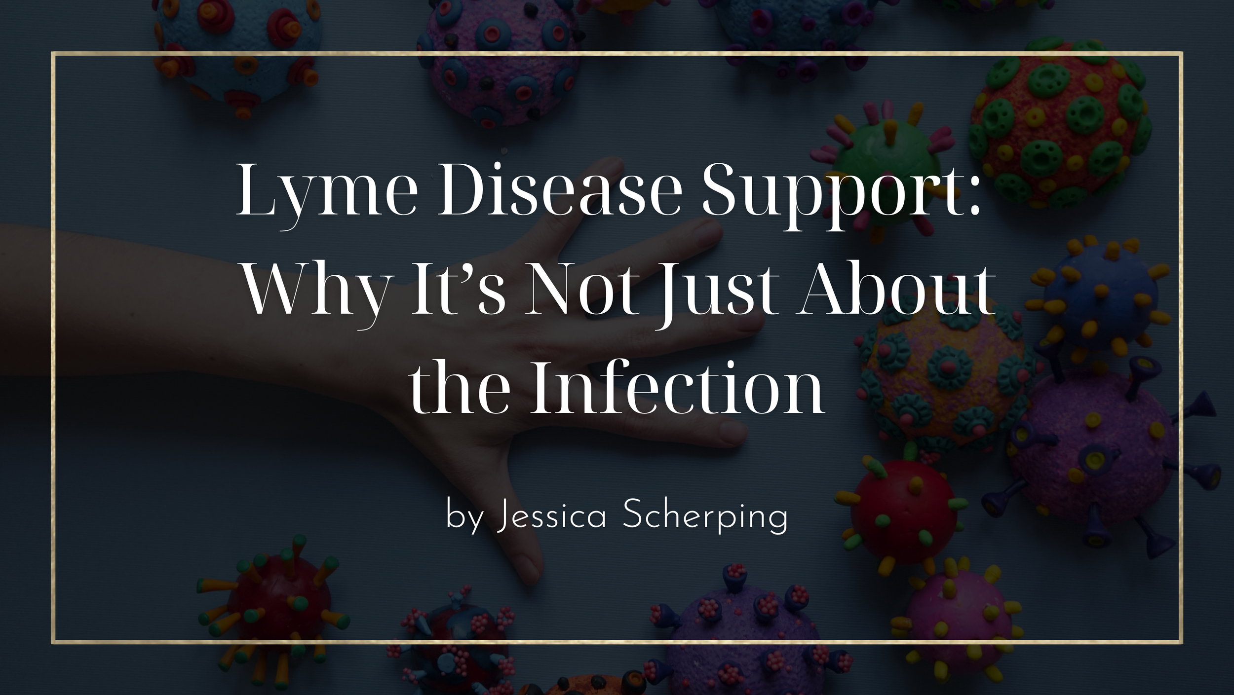 Lyme Disease Support: Why It’s Not Just About the Infection