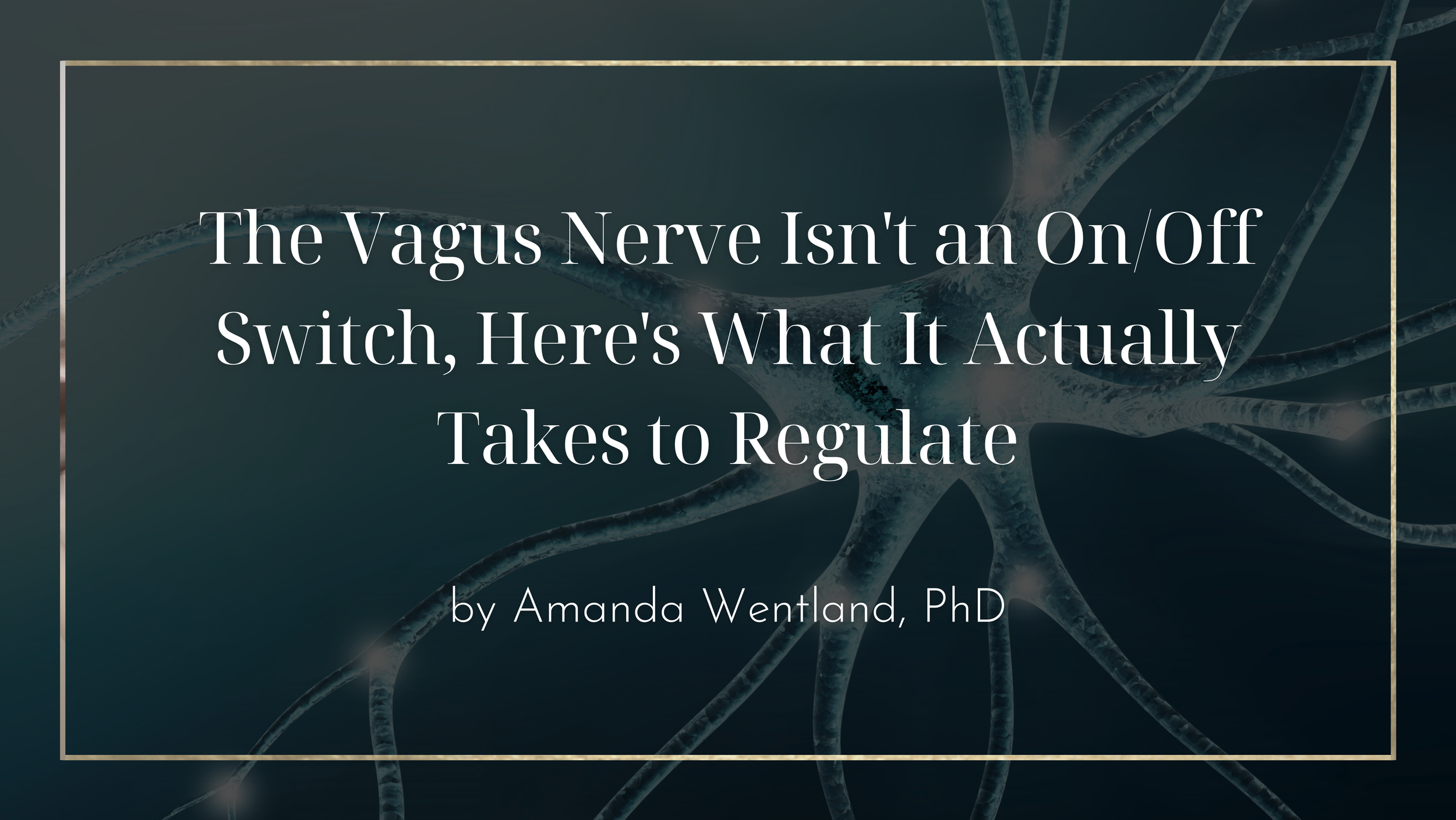 The Vagus Nerve Isn't an On/Off Switch, Here's What It Actually Takes to Regulate